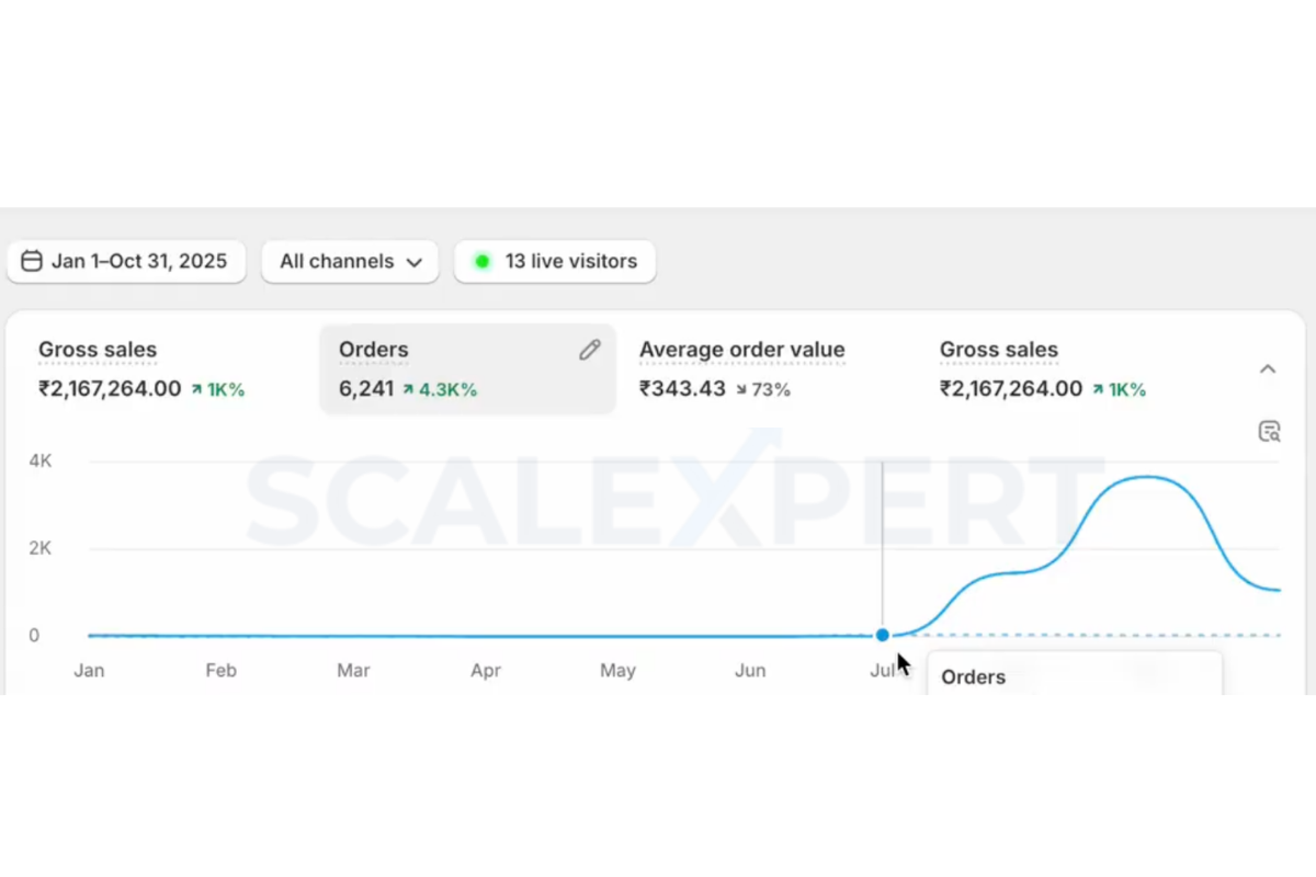 Shopify dashboard showing flat sales baseline before brand launch