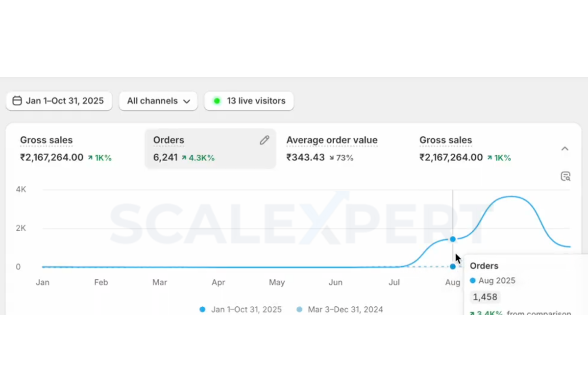 Shopify dashboard showing initial sales growth after launch