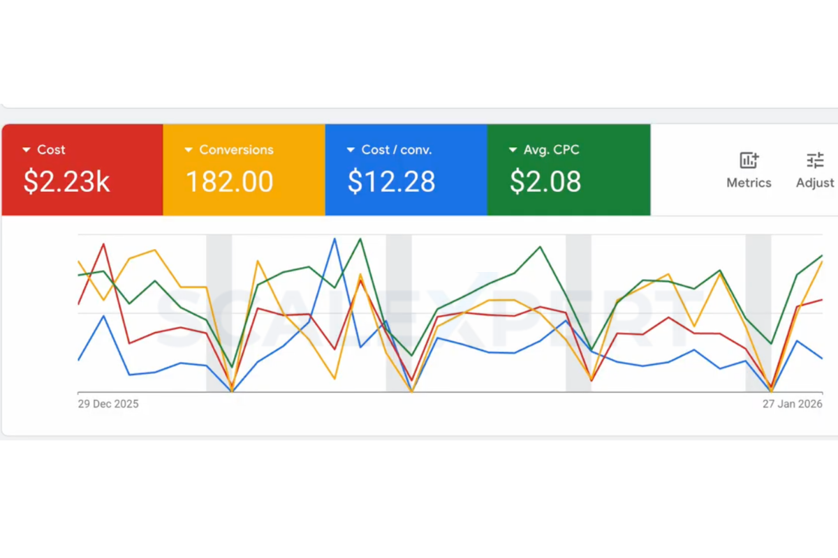 Google Ads performance dashboard showing sustained conversions and cost per conversion, December 2025 to January 2026