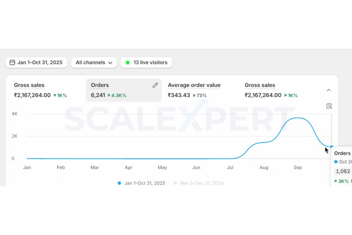 Shopify dashboard showing peak month order volume